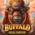 Buffalo